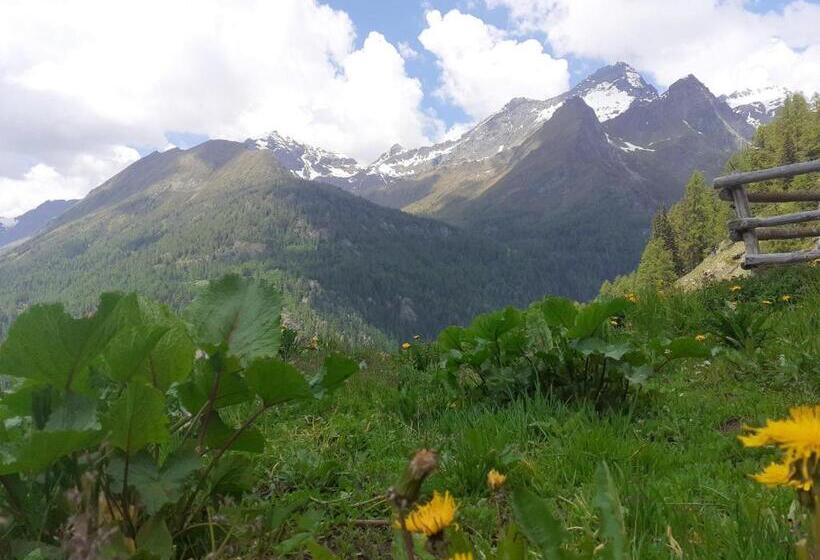 בית מלון כפרי Stadel Soussun