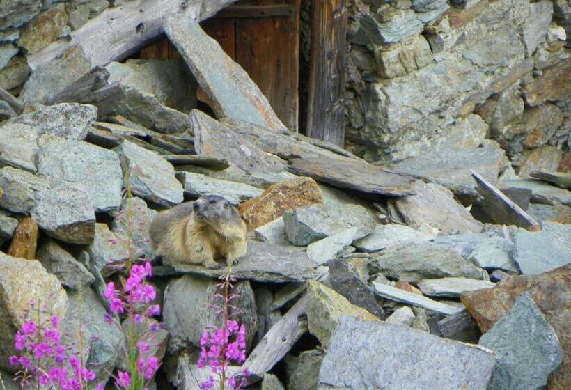 בית מלון כפרי Stadel Soussun