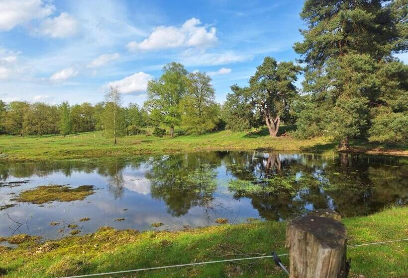 B & B & Theetuin Bathorn