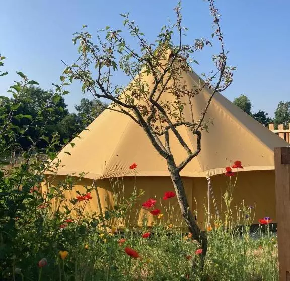 Aamiaismajoitus (B&B) ô Bord De Loire