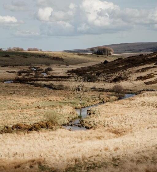 酒店 Dartmoor Inn Merrivale