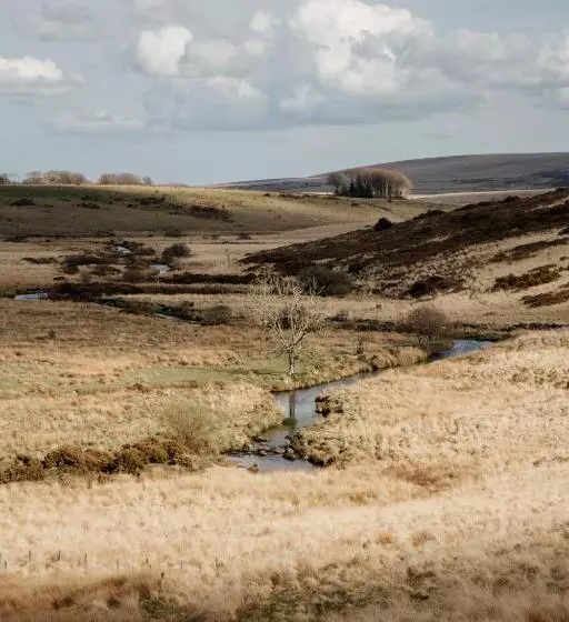 Hotelli Dartmoor Inn Merrivale