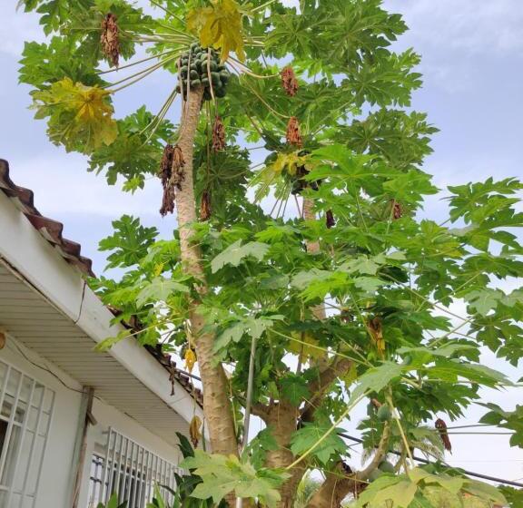 Pension Beach House Oasis