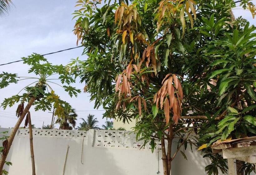 Pension Beach House Oasis