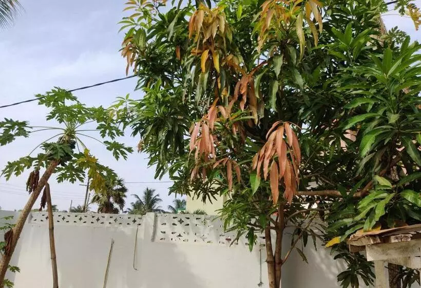 پانسیون Beach House Oasis