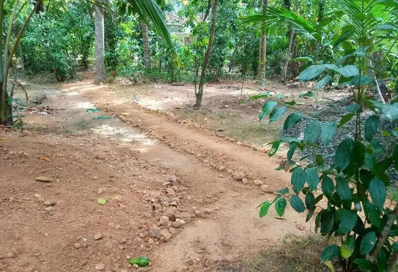 Majatalo Cinnamon Forest Nature Rooms