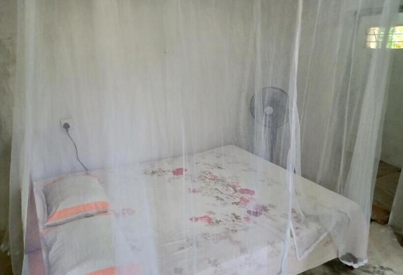 بنسيون Cinnamon Forest Nature Rooms