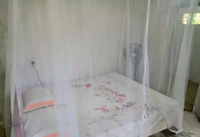 Majatalo Cinnamon Forest Nature Rooms