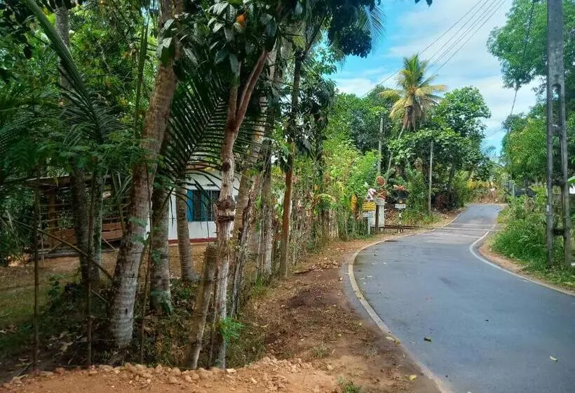 Majatalo Cinnamon Forest Nature Rooms
