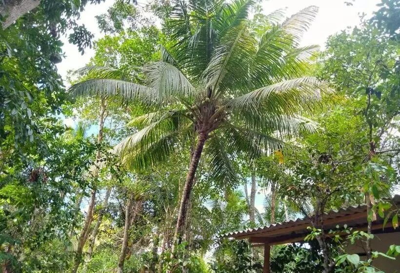 Majatalo Cinnamon Forest Nature Rooms