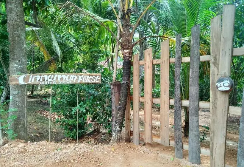 Majatalo Cinnamon Forest Nature Rooms