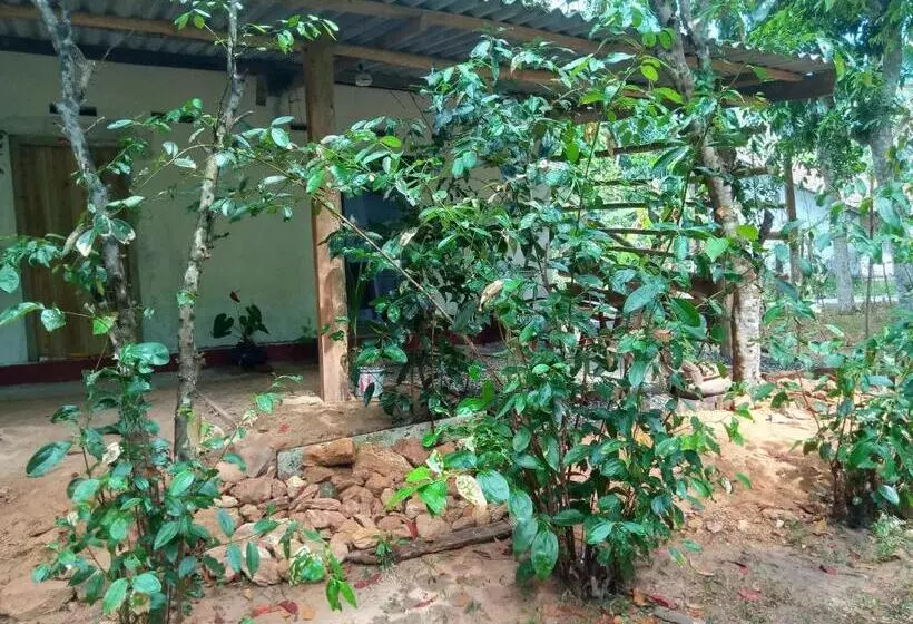 Majatalo Cinnamon Forest Nature Rooms