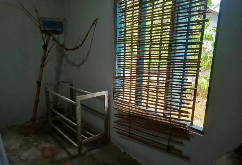 Majatalo Cinnamon Forest Nature Rooms