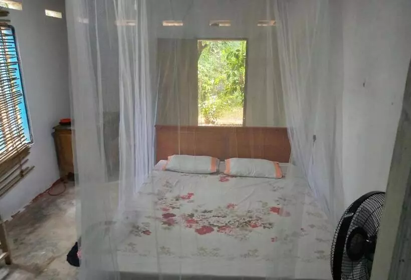 Majatalo Cinnamon Forest Nature Rooms