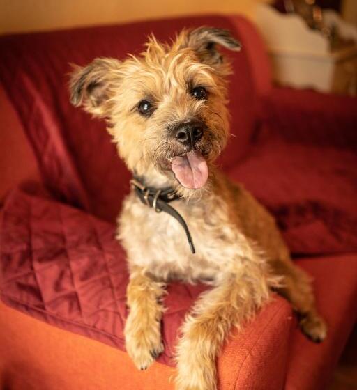 פנסיון Sa Domu De Ladiri Guesthouse 2.0