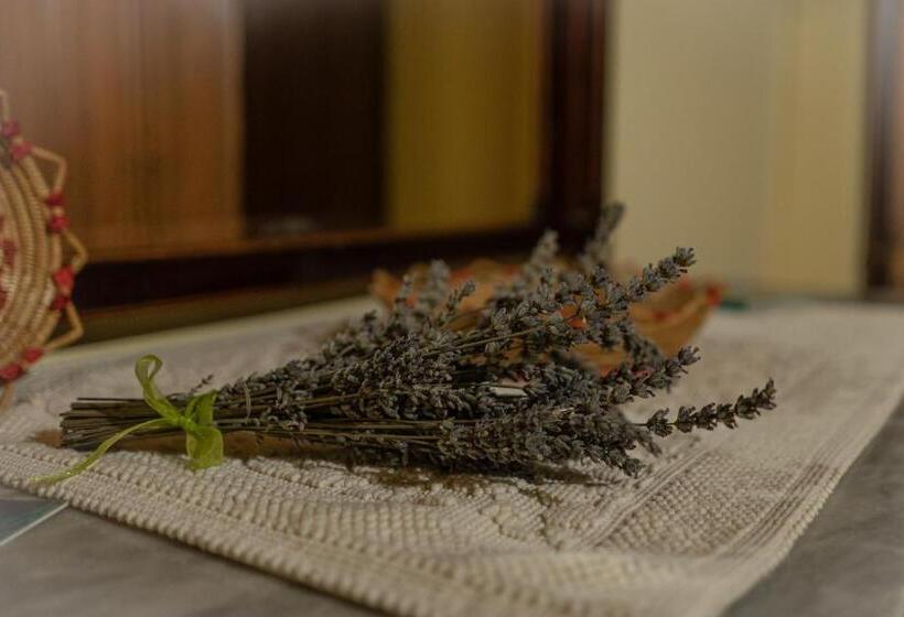 פנסיון Sa Domu De Ladiri Guesthouse 2.0