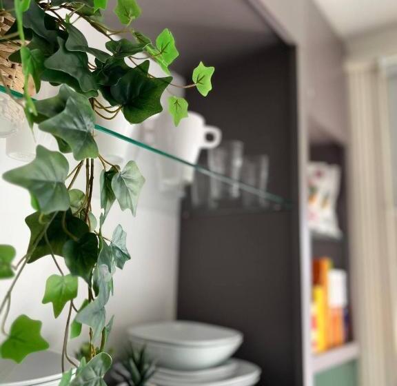 Apt 03 Beachside Beauty Central Studio Steps From Cafes