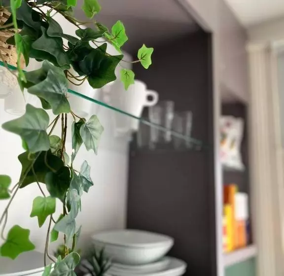 Apt 03 Beachside Beauty Central Studio Steps From Cafes