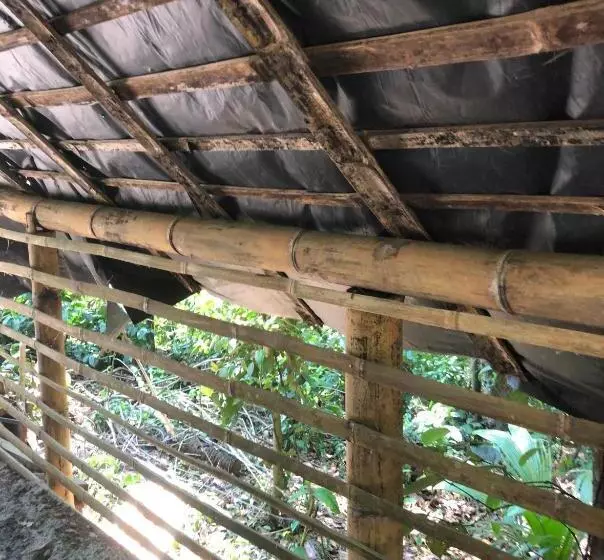 Aamiaismajoitus (B&B) Bambo Cabana