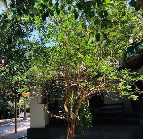 Aamiaismajoitus (B&B) Bambo Cabana