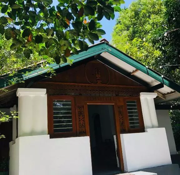Aamiaismajoitus (B&B) Bambo Cabana
