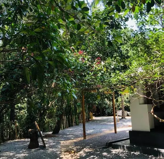 Aamiaismajoitus (B&B) Bambo Cabana