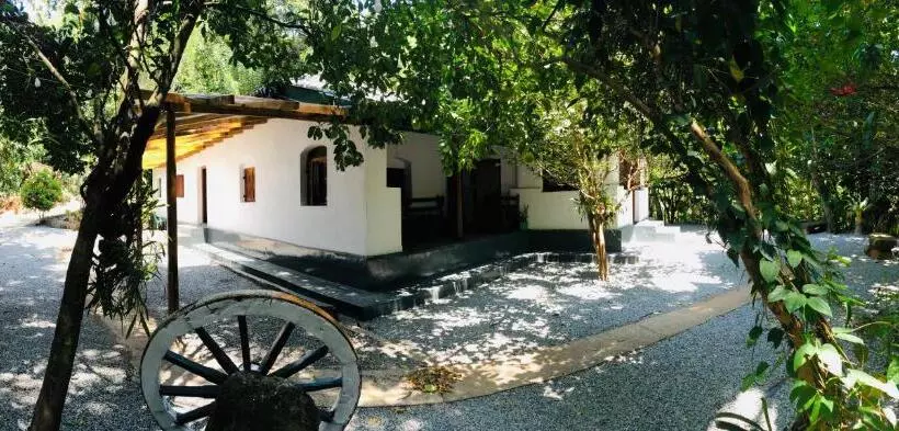 Aamiaismajoitus (B&B) Bambo Cabana