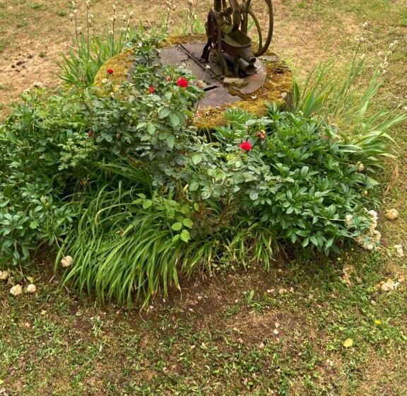 Bed and Breakfast Domaine Le Sciau