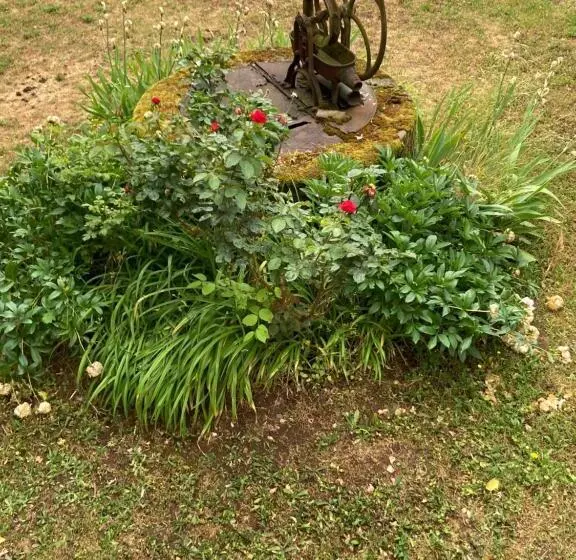 ベッドアンドブレックファースト Domaine Le Sciau