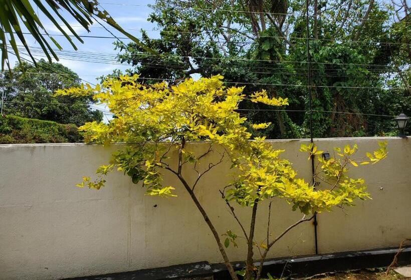 ホテル Surf And Stay Surf School &