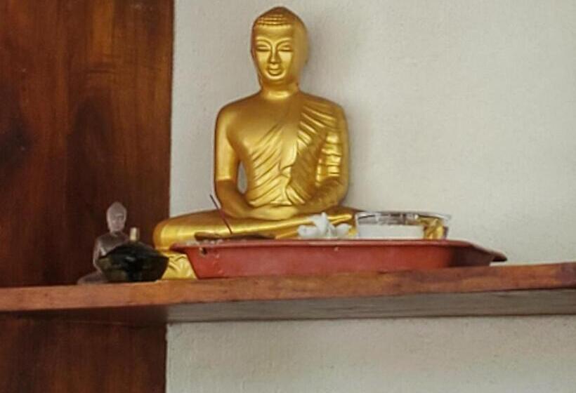 ホテル Surf And Stay Surf School &