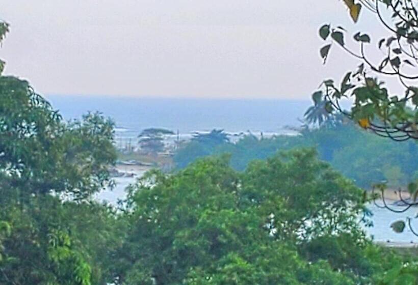 ホテル Surf And Stay Surf School &