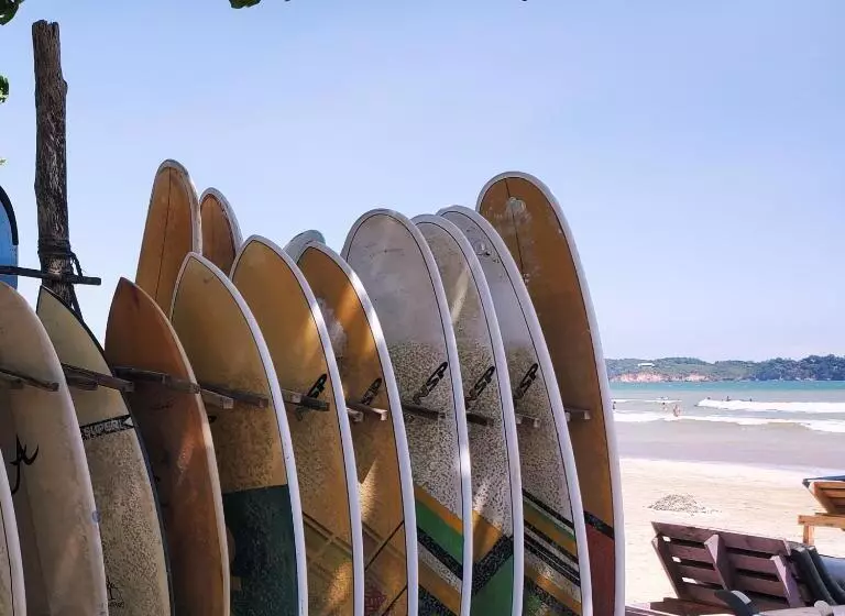 ホテル Surf And Stay Surf School &