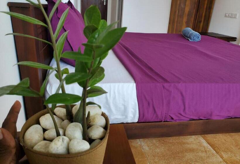 ホテル Surf And Stay Surf School &