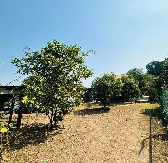 ペンション Jungle Bangalow Don Det