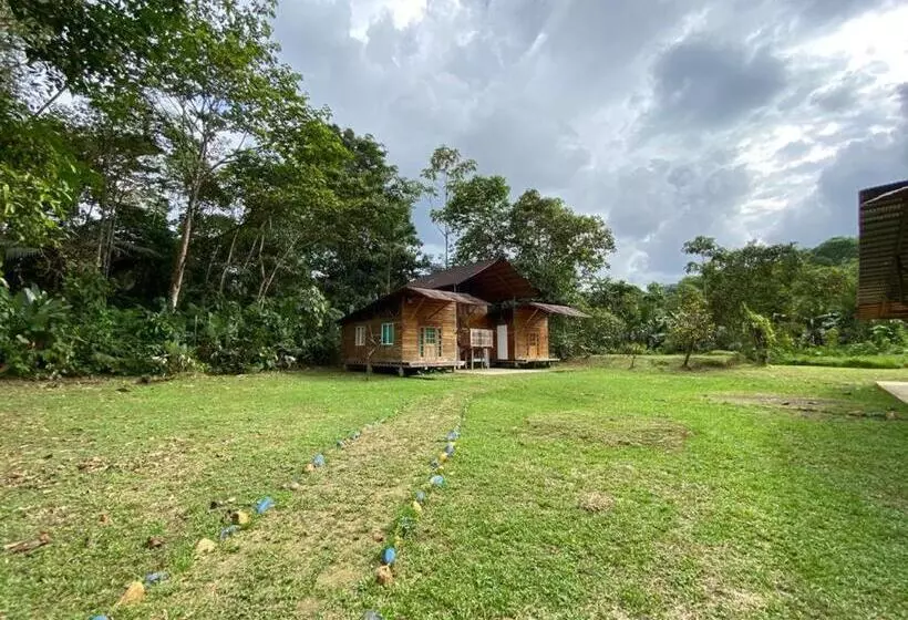 Ecogreen Hotel San Cipriano