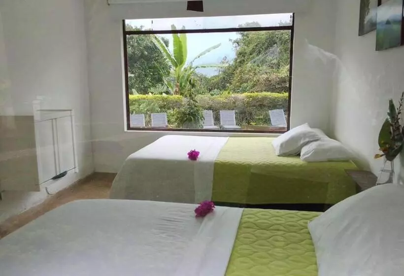 ホテル Oassis Conexion Sin Fronteras