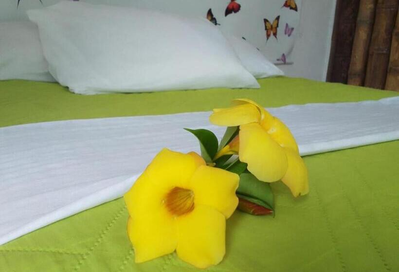 Szálloda Oassis Conexion Sin Fronteras