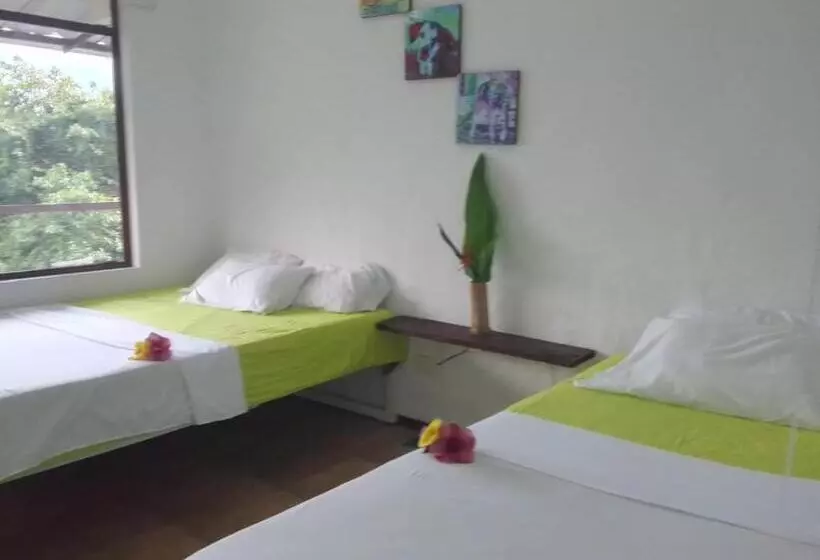 ホテル Oassis Conexion Sin Fronteras