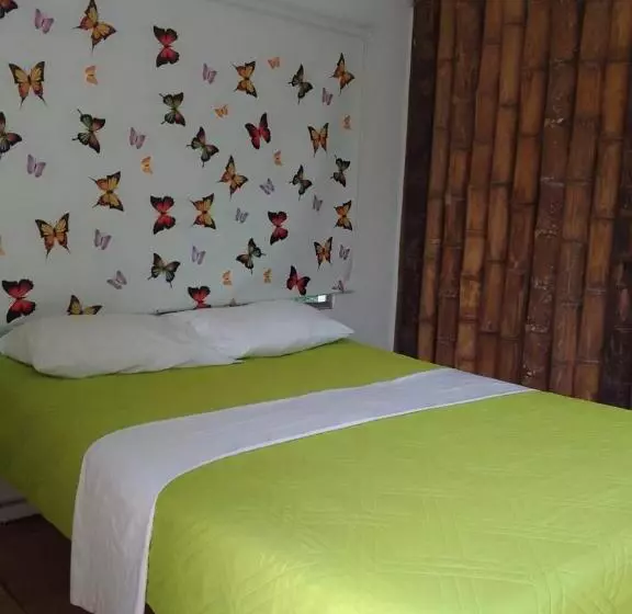 ホテル Oassis Conexion Sin Fronteras