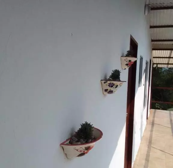 ホテル Oassis Conexion Sin Fronteras