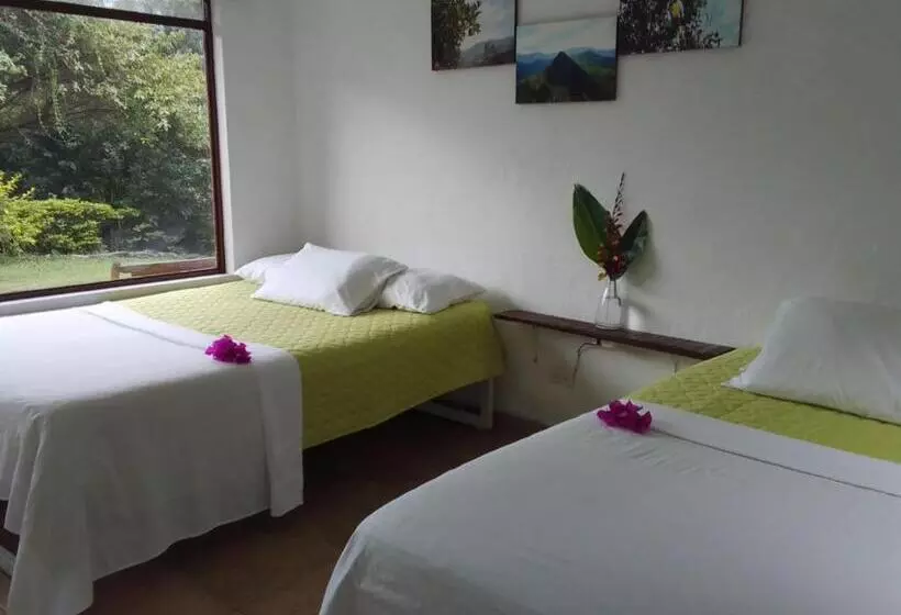 ホテル Oassis Conexion Sin Fronteras