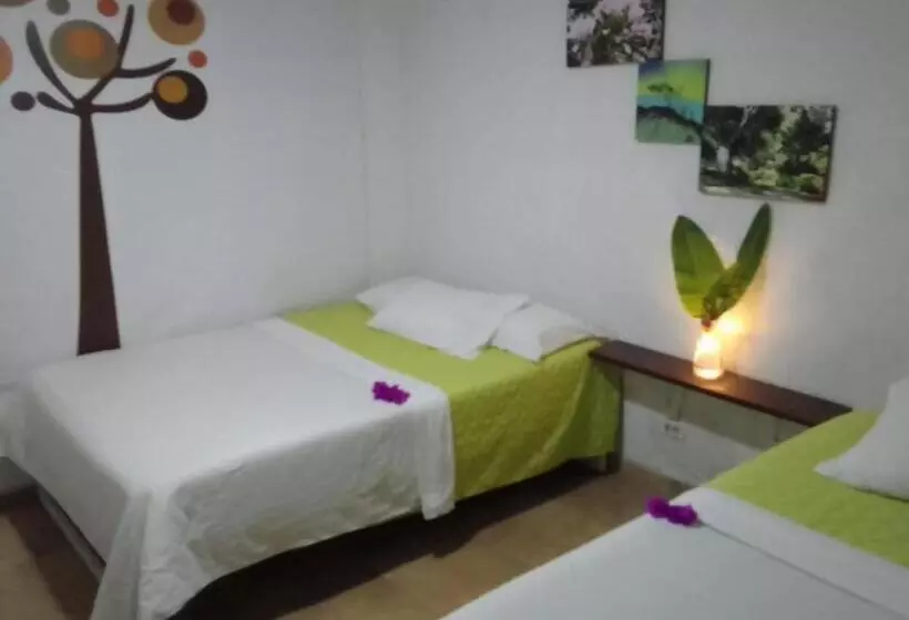 ホテル Oassis Conexion Sin Fronteras