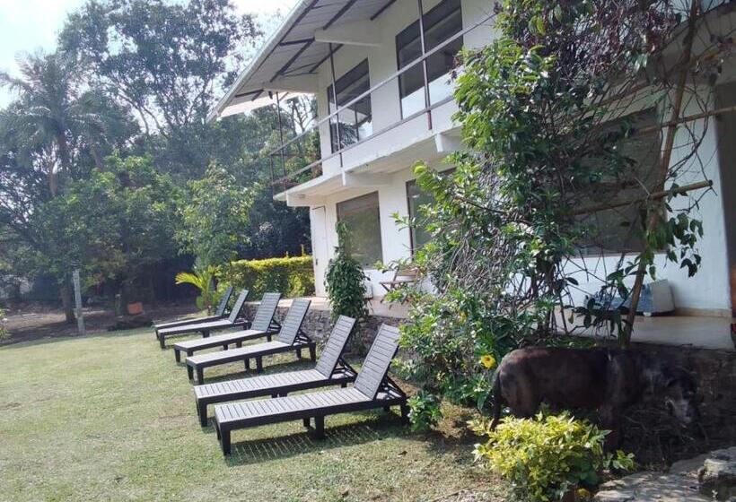 Szálloda Oassis Conexion Sin Fronteras