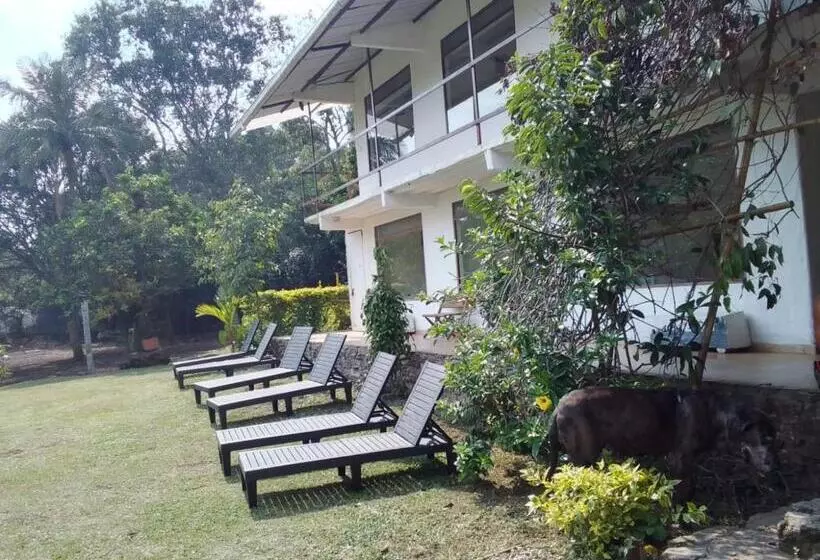 ホテル Oassis Conexion Sin Fronteras