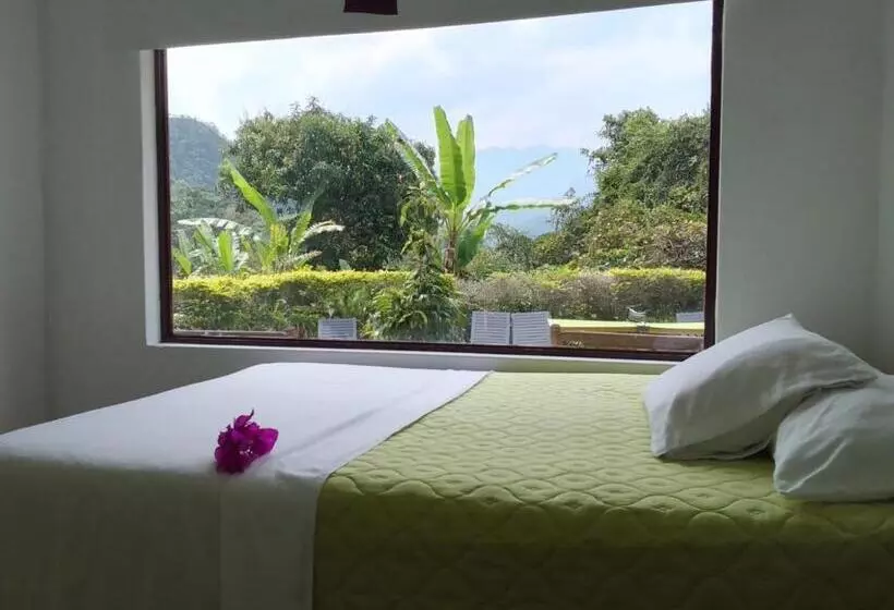 ホテル Oassis Conexion Sin Fronteras