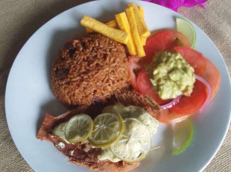 Szálloda Oassis Conexion Sin Fronteras