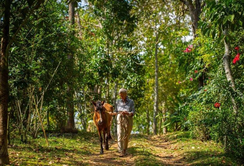 Pensjonat Isla S Ridge   A Cgh Earth Saha Experience