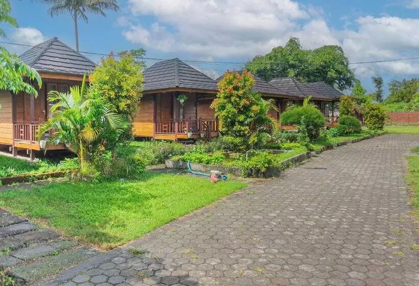 ペンション Puncak Rinjani Lodge