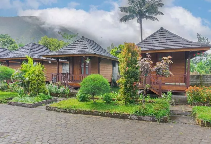 ペンション Puncak Rinjani Lodge